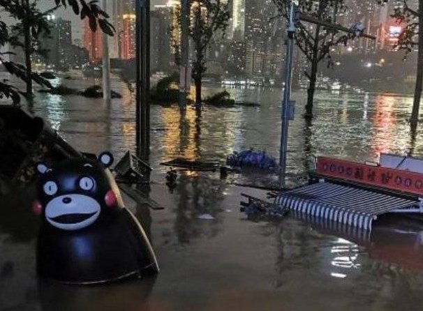 重庆洪水中的“懵逼熊”还在江里漂，它有可能漂到上海去吗？