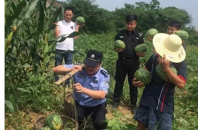 民警为什么被批不务正业？