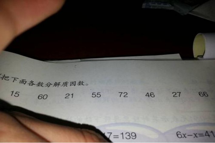 质因数的概念和定义