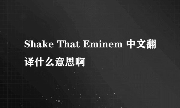 Shake That Eminem 中文翻译什么意思啊