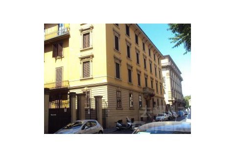 安吉利卡的介绍