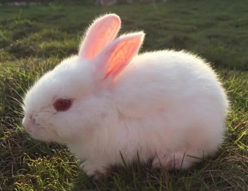 净几明窗是什么生消