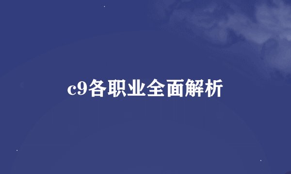 c9各职业全面解析