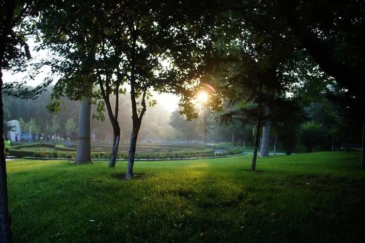 晨光绝版了的笔有哪些