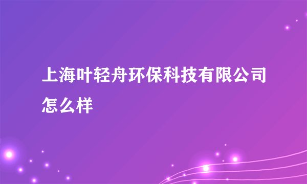 上海叶轻舟环保科技有限公司怎么样