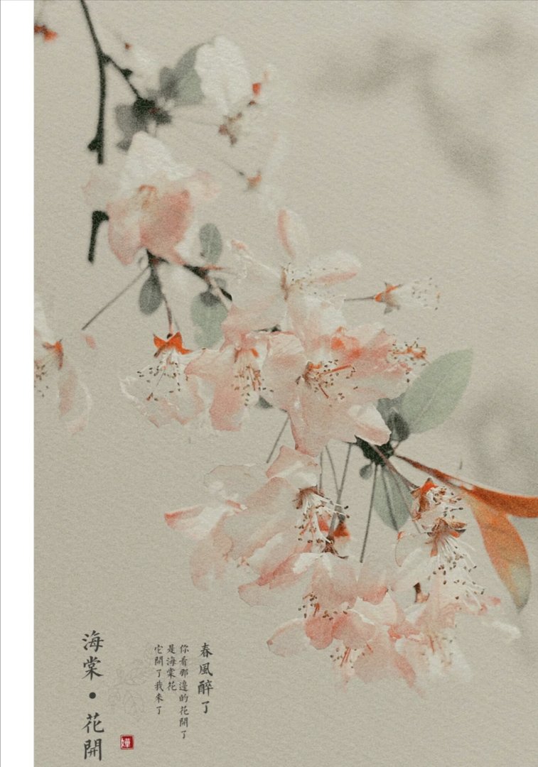 时断时续指什么生肖