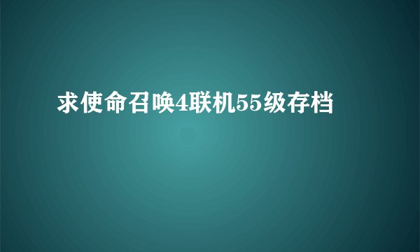 求使命召唤4联机55级存档