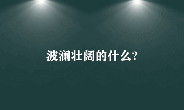 波澜壮阔的什么?