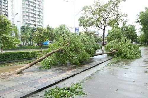 南方极端酷热进入最后的疯狂！9号台风生成在即，这次能否助力“灭火”？