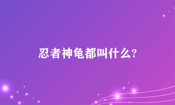 忍者神龟都叫什么?