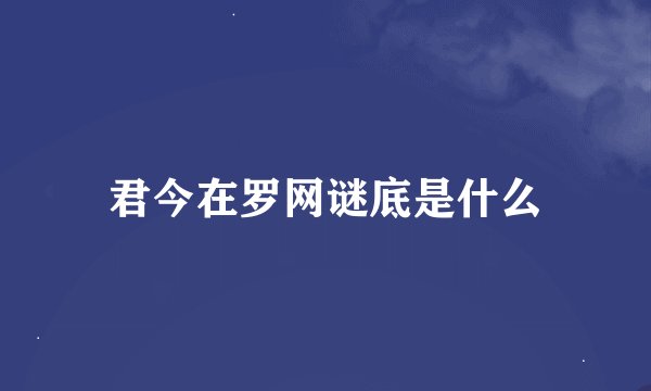 君今在罗网谜底是什么