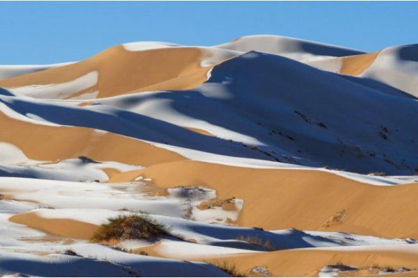 骆驼在撒哈拉沙漠雪中漫步,这种罕见是景象会是一个好兆头吗?