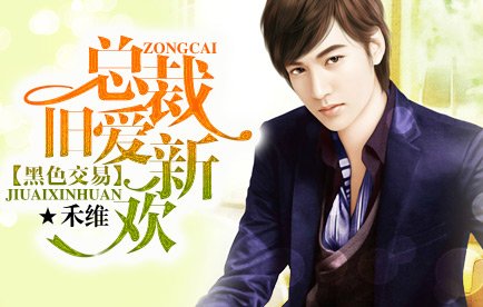 豪门情人：做你女人100天的简介