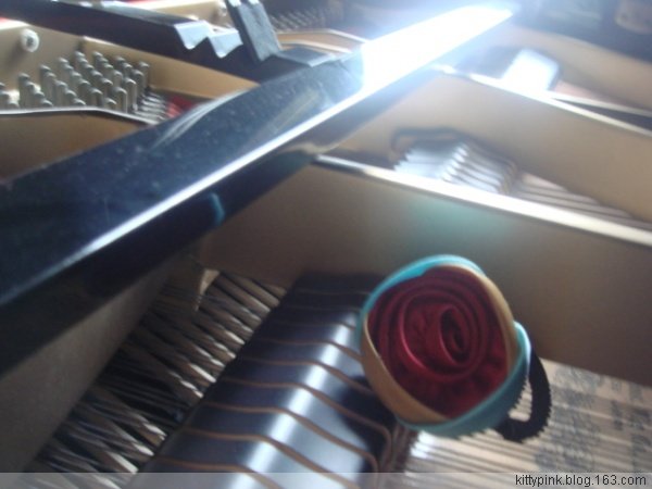 绝世花少的基本信息