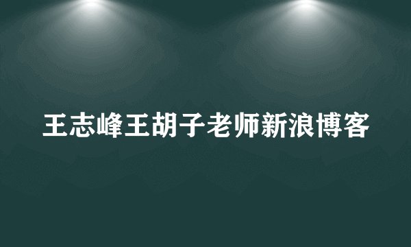 王志峰王胡子老师新浪博客