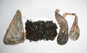 熊胆有什么作用？