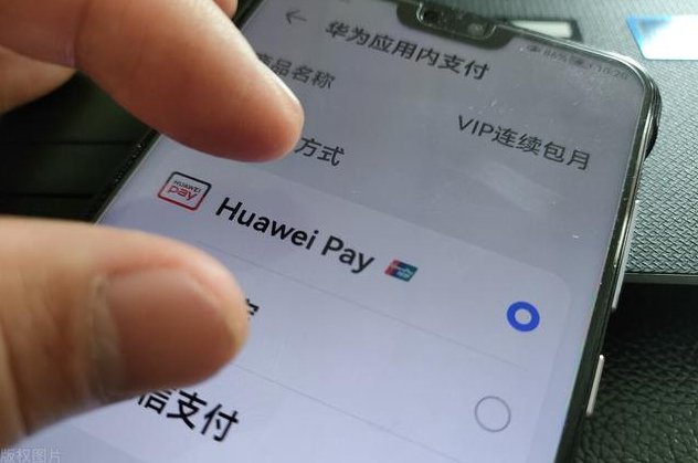 花瓣支付在哪里下载