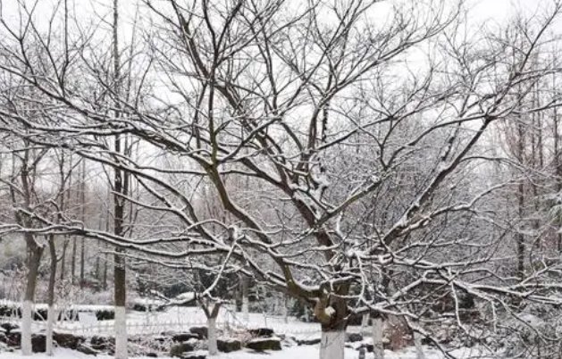 落 打 飘造句子二年级上册简单