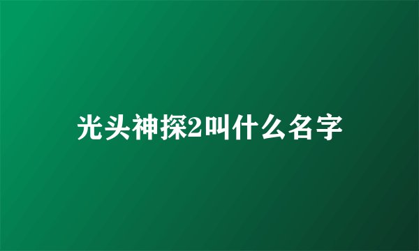 光头神探2叫什么名字