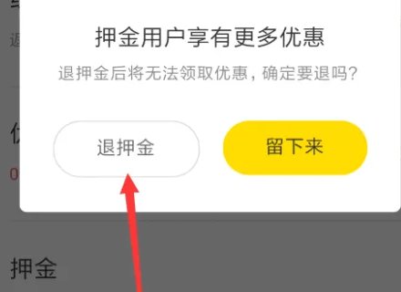 ofo押金在哪里退