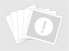 红安论坛的红安论坛大事记