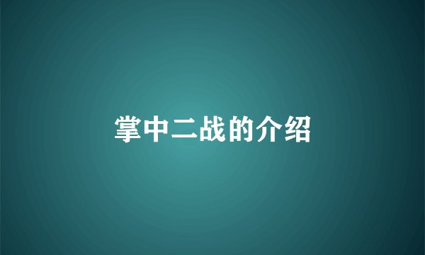 掌中二战的介绍