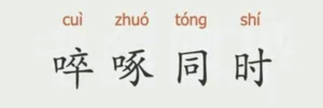 啐啄同时是什么意思