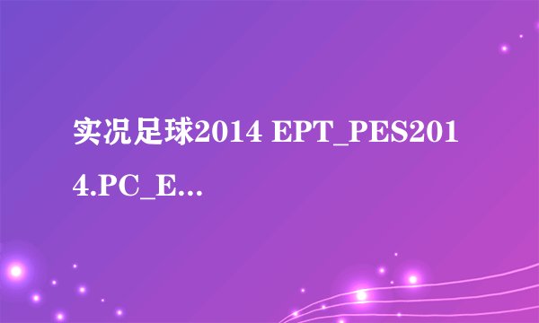 实况足球2014 EPT_PES2014.PC_Excited_Plus_V15.3.1中文补丁 WIN7系统怎么安装