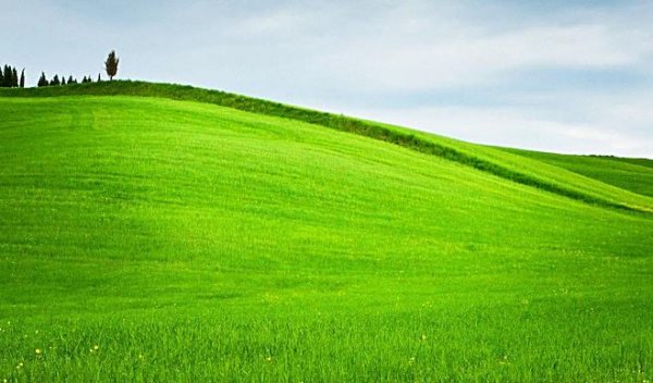 绿得什么填词语