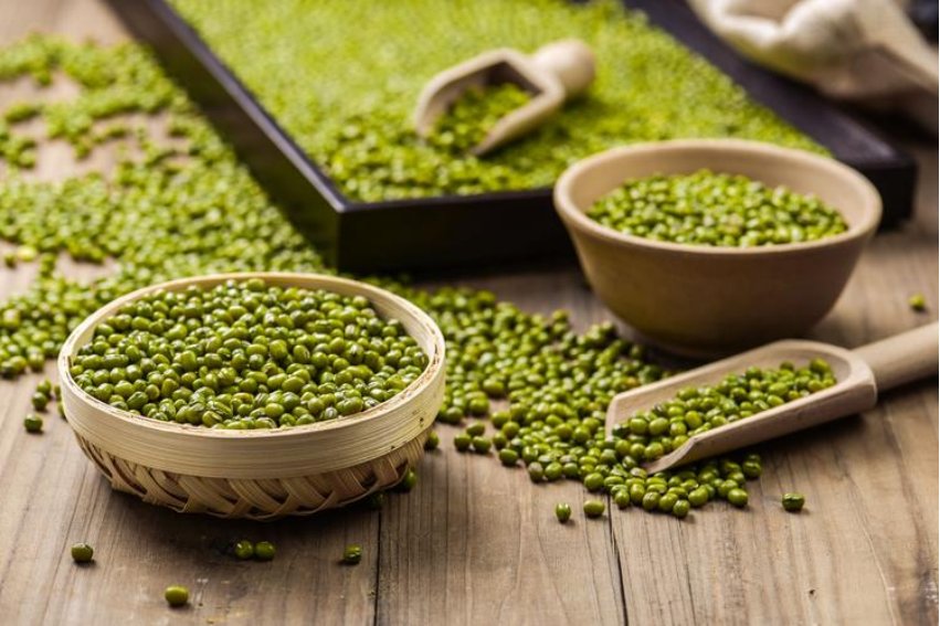 济世之良谷是指的什么