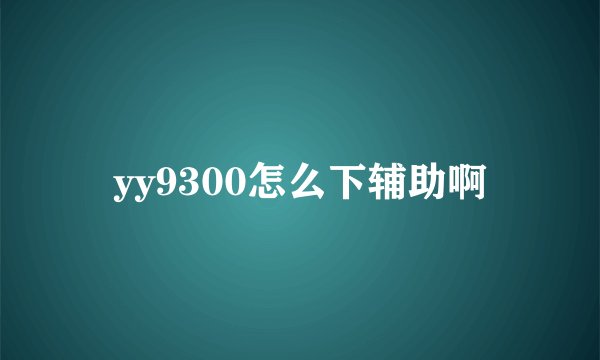 yy9300怎么下辅助啊