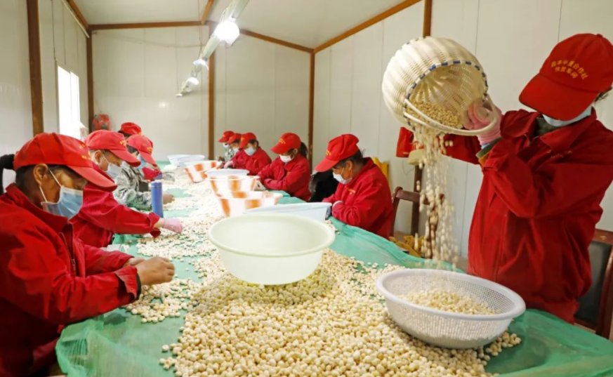 甘肃陇南西和县被称为？