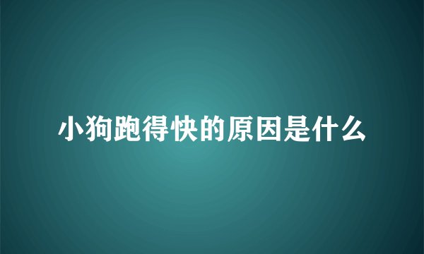 小狗跑得快的原因是什么