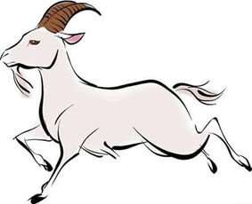 心甘情愿付出，哪些生肖有为别人着想的善良？