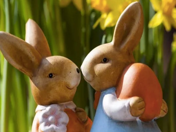 逃吧挚爱什么梗