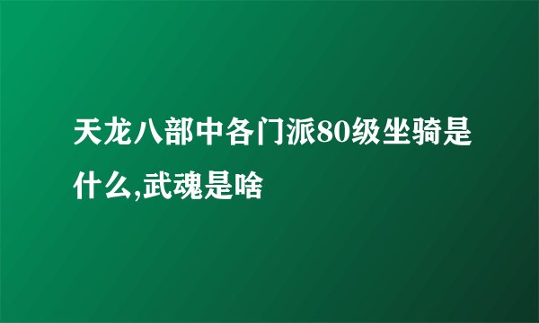 天龙八部中各门派80级坐骑是什么,武魂是啥