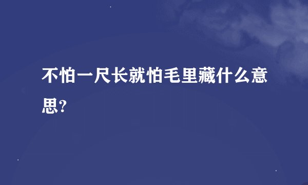 不怕一尺长就怕毛里藏什么意思?