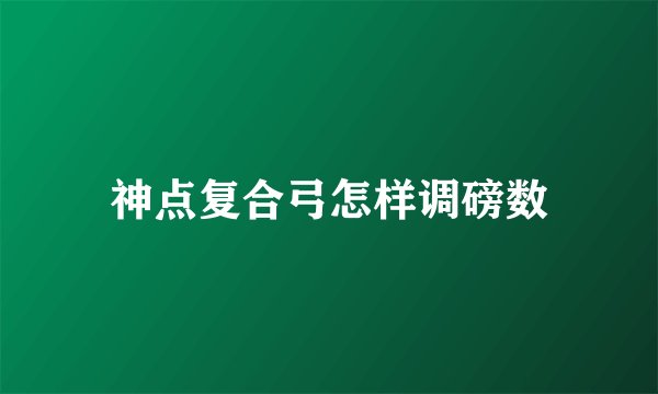 神点复合弓怎样调磅数