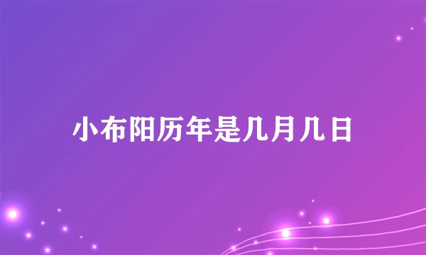 小布阳历年是几月几日