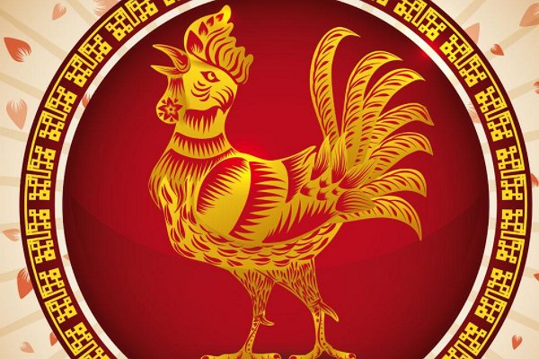 傻眉愣眼的有什么动物