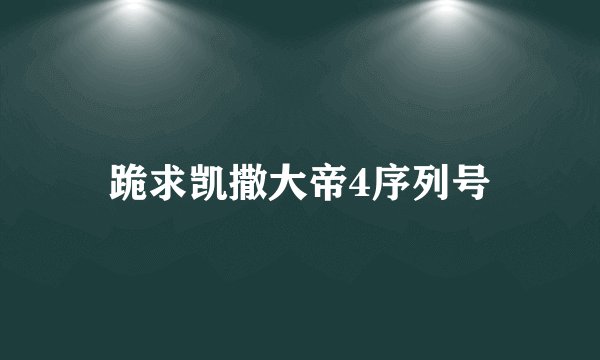 跪求凯撒大帝4序列号