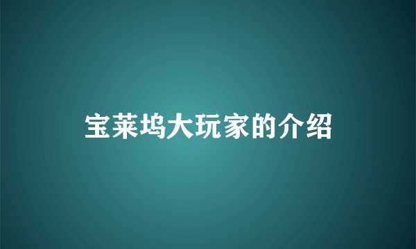 宝莱坞大玩家的介绍