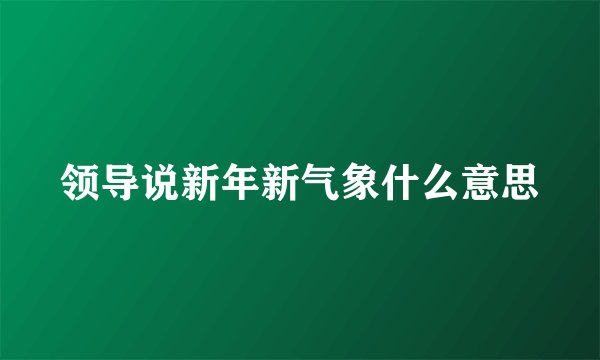 领导说新年新气象什么意思