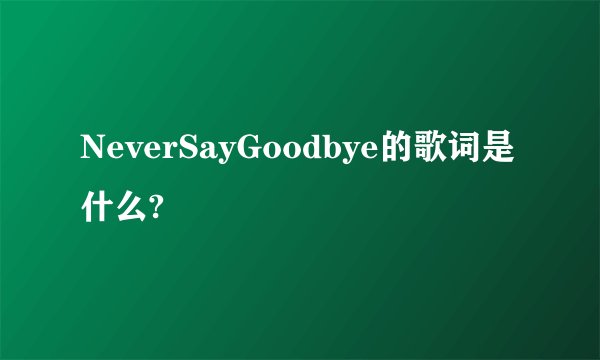 NeverSayGoodbye的歌词是什么?