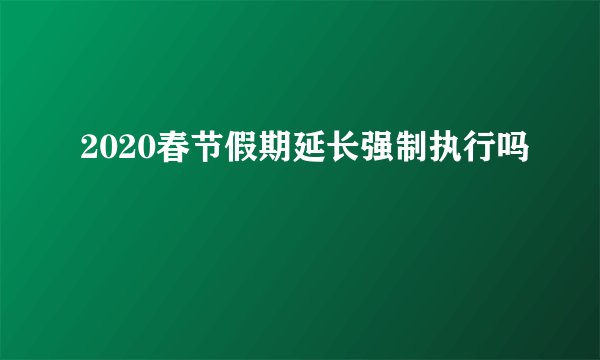 2020春节假期延长强制执行吗