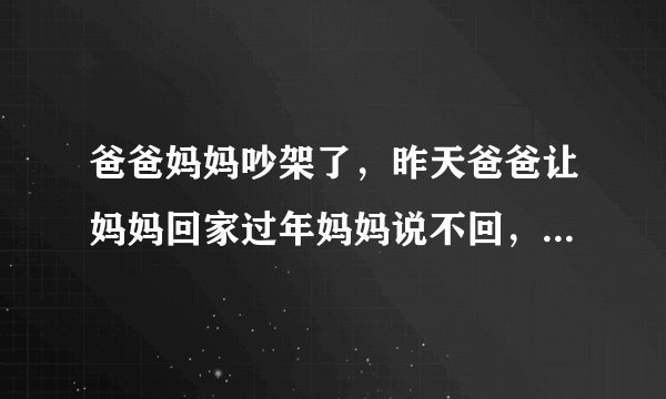 爸爸妈妈吵架了，昨天爸爸让妈妈回家过年妈妈说不回，怎么办？