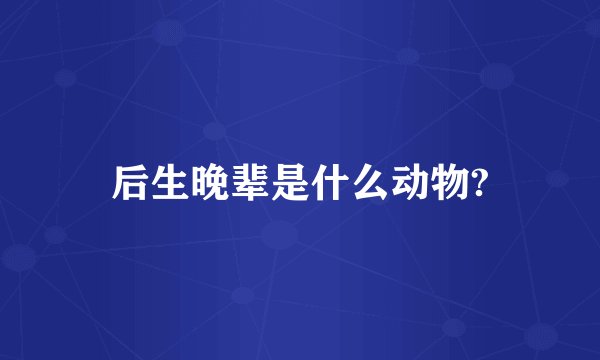 后生晚辈是什么动物?