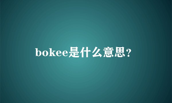 bokee是什么意思？