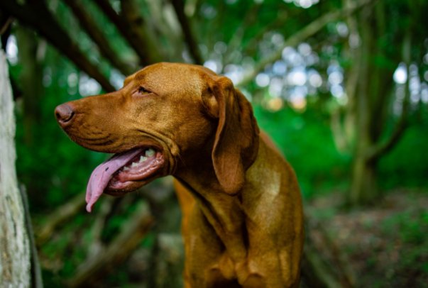 大喘气表情是什么意思？