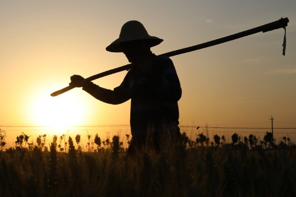 蚂蚁庄园古代褒义词